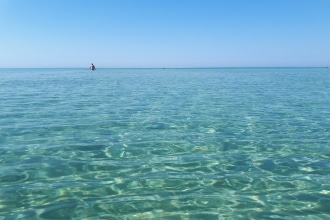 Punta prosciutto