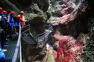 Trentino, Val di Non, visita con i bambini al Canyon Rio Sass, alghe rosse