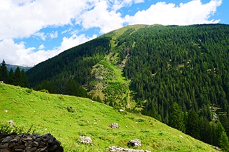 Val di Rabbi, panorama da Malga Fratte