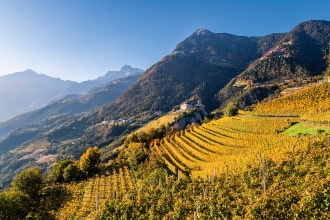 Castel Tirolo Foliage