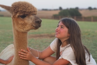 Piani degli Alpaca Viterbo