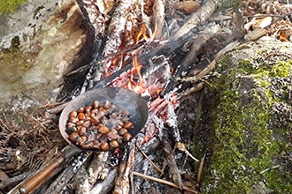 Dove raccogliere le castagne con i bambini in Toscana