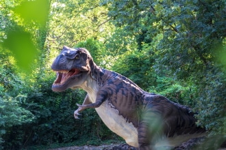 Il T-rex