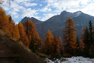 Escursioni autunnali nel Parco del Gran Paradiso