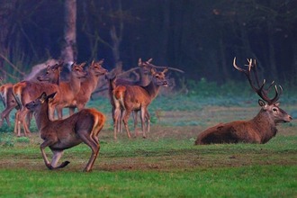 Autunno Slow nel parco del Delta del Po