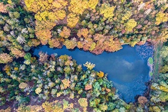 Parco dei Boschi di Carrega vicino Parma