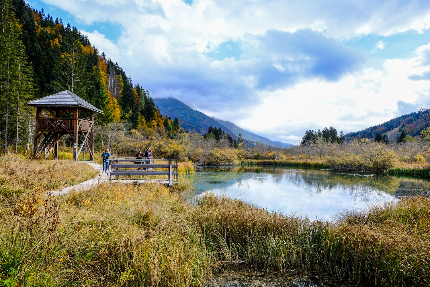 Autunno in Slovenia, Zelenci