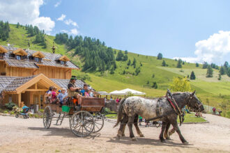 Resort Dolce Casa Family & SPA a Moena in Val di Fassa, passeggiata in carrozza