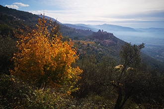 Passeggiata fiabe e ulivi a Campello sul Clitunno