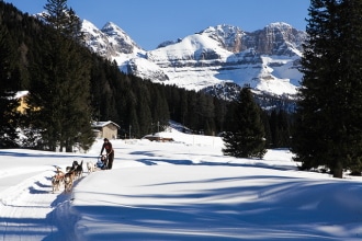 Dogsledding piana Nambino