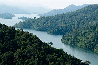 Malesia, Taman Negara Park, il fiume 