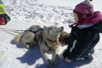 Sleddog con bambini