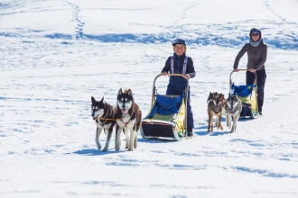 Sleddog in Italia