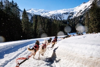 Sleddog in Italia con bambini Alto Adige