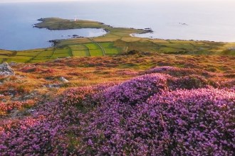 Bardsey Island