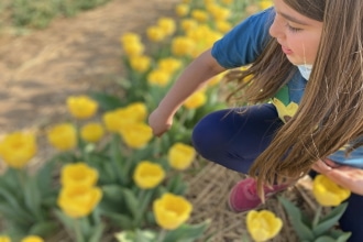 Campi di tulipani con bambini