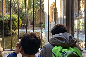 Chiostro della Cattedrale di Barcellona