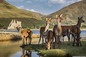 Isole Britanniche: Isle of Arran