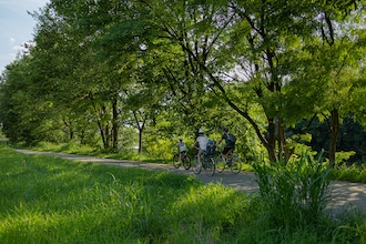 Slovenia in bici e treno con i bambini per una vacanza green: itinerari lungo la Drava