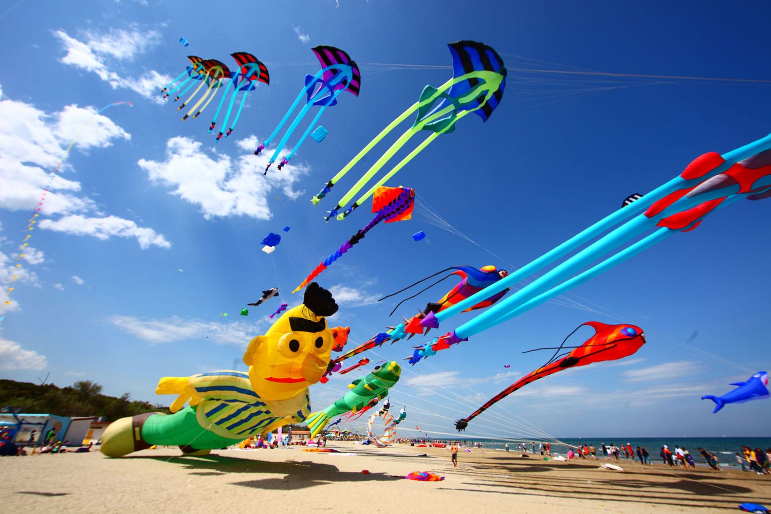 Festival degli Aquiloni, Pinarella di Cervia