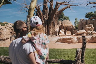 Bioparc di Valencia