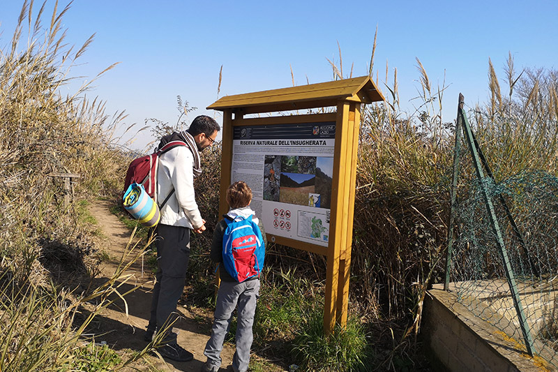 Riserva dell'Insugherata