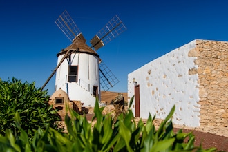 Canarie in primavera con i bambini: il museo del mulino