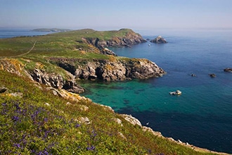 Great Saltee Island