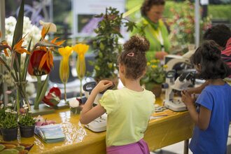 Merano Flower Festival, eventi di primavera a Merano