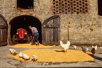 Esperienze in fattoria in Mugello