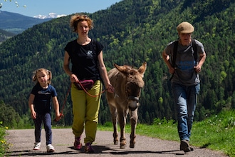 Aprile dolce fiorire in Trentino - passeggiate a passo d'asino