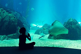 Oceanarium di Lisbona