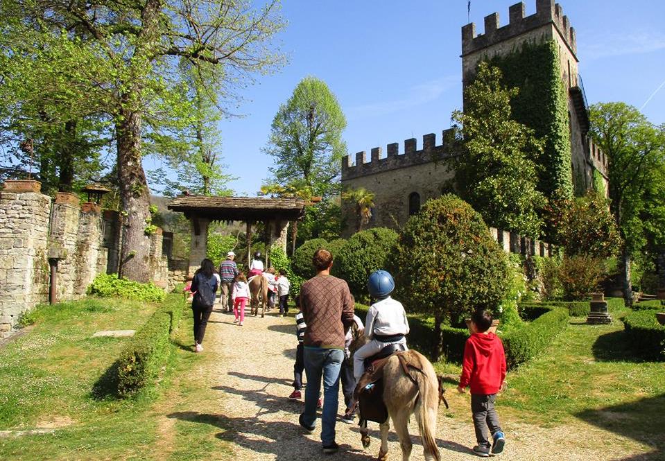 Trekking con gli asinelli nel Casentino