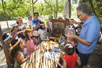 Giornata mondiale delle api, laboratori per bambini