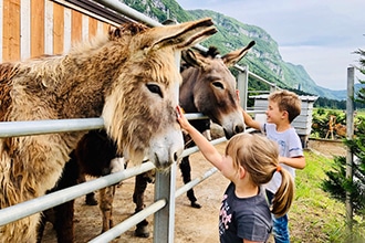 Vacanza all'Hotel Miravalle di San Lorenzo Dorsino, gita con gli asinelli