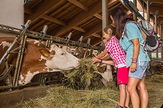 Attività in fattoria didattica, Sotto al Croz