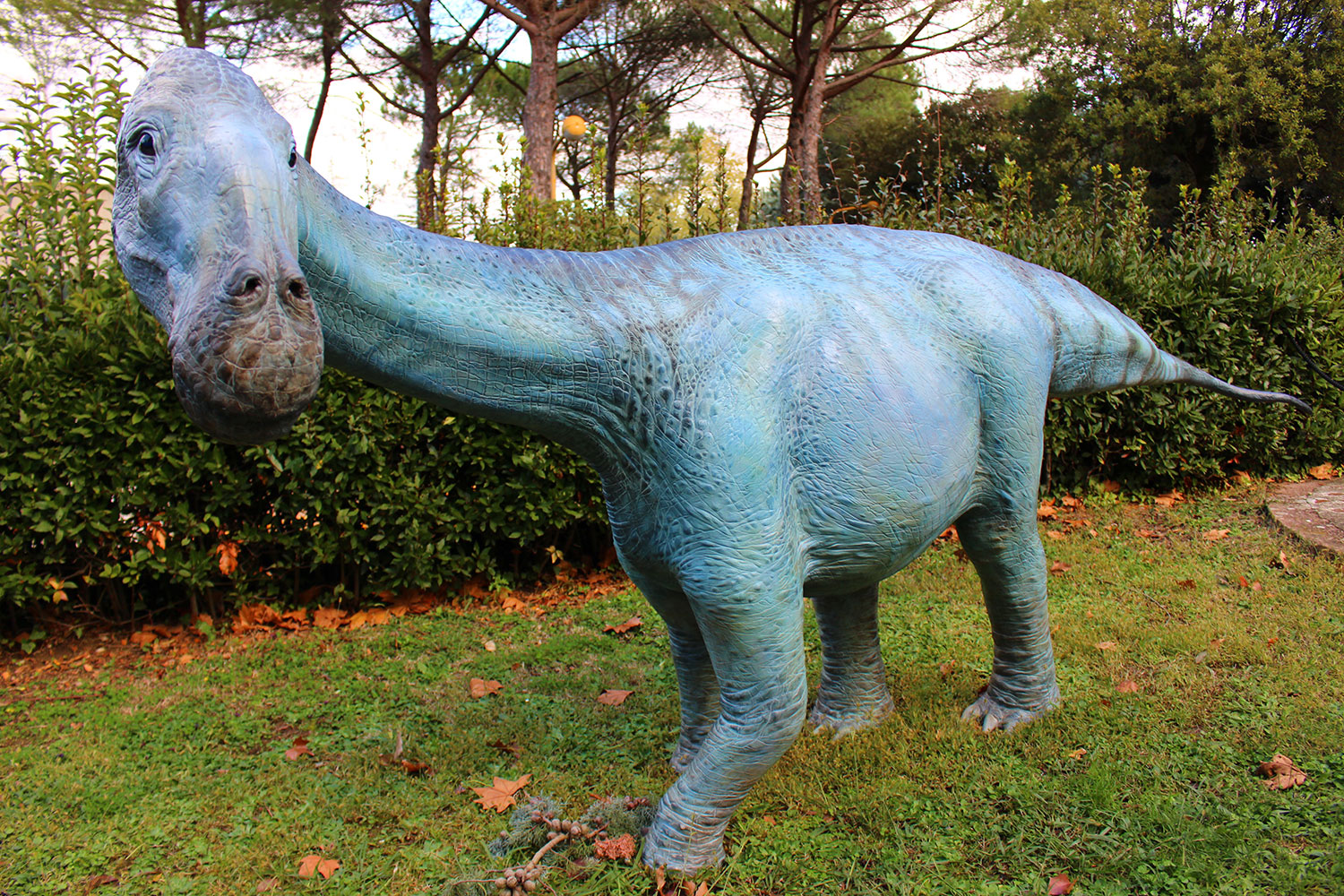 Selva di Cadore, Dinosauri in carne e ossa