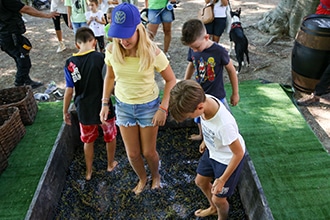 Vendemmia con i bambini a Fontanafredda