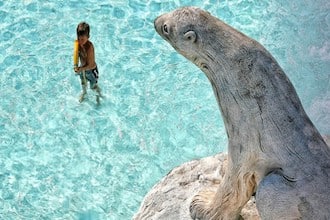 Parchi acquatici in Emilia Romagna: Aquafan