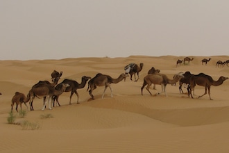 A Djerba con i bambini: il deserto tunisino