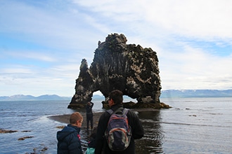 Rocce e gabbiani in Islanda
