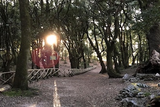 Spoleto con i bambini: il bosco sacro