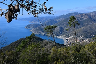 5 Terre, Anello Monte Focone - Monterosso