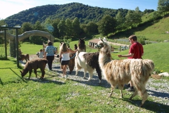 Lama Agriturismo Le Radici