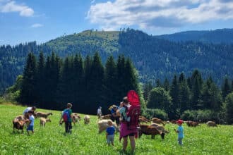 Trekking con le caprette al Maso Guez di Folgaria