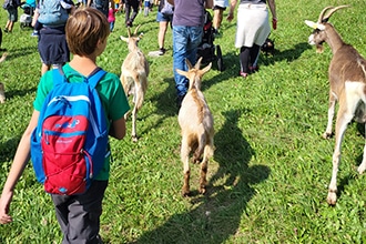 Trekking con le caprette al Maso Guez di Folgaria