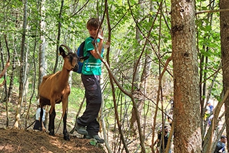 Trekking per bambini con le caprette al Maso Guez