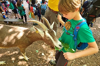 Trekking per bambini con le caprette al Maso Guez