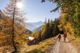 Val Zebrù in autunno