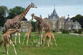 Lo zoo del Domaine La Bourbansais